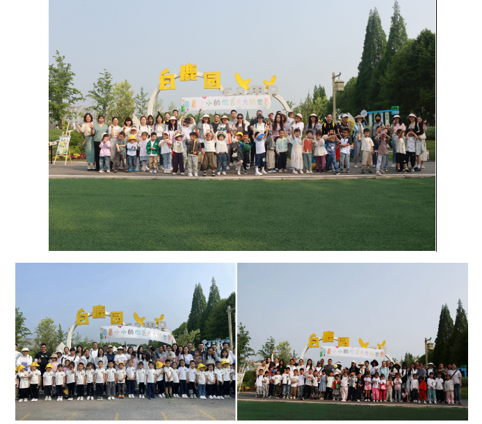 图片 5
