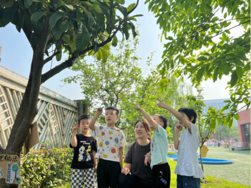 图片 4