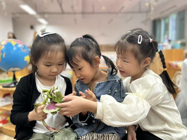 微信图片_20250923092456_75_274