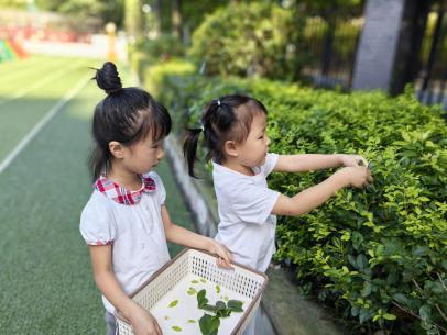 2f0e3ca68b34a5af76a7ea254ebfd6b