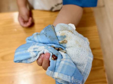 微信图片_20250930152430_50_24