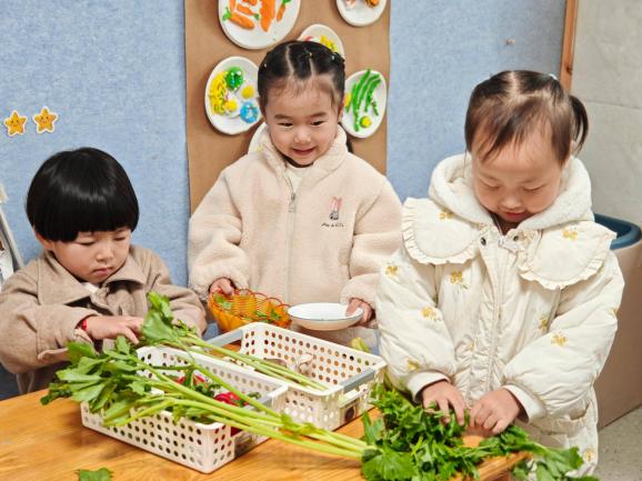 cce3c1355641a6837965267551c1575