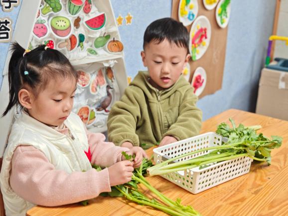 dbbf2f929427baa0bbc87f7c5a2b4ec