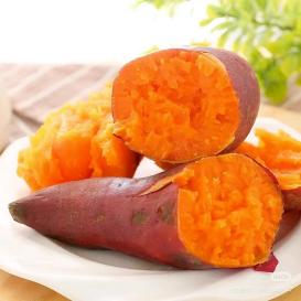 C:/Users/001/Desktop/微信图片_20251217151732_135_14.jpg微信图片_20251217151732_135_14